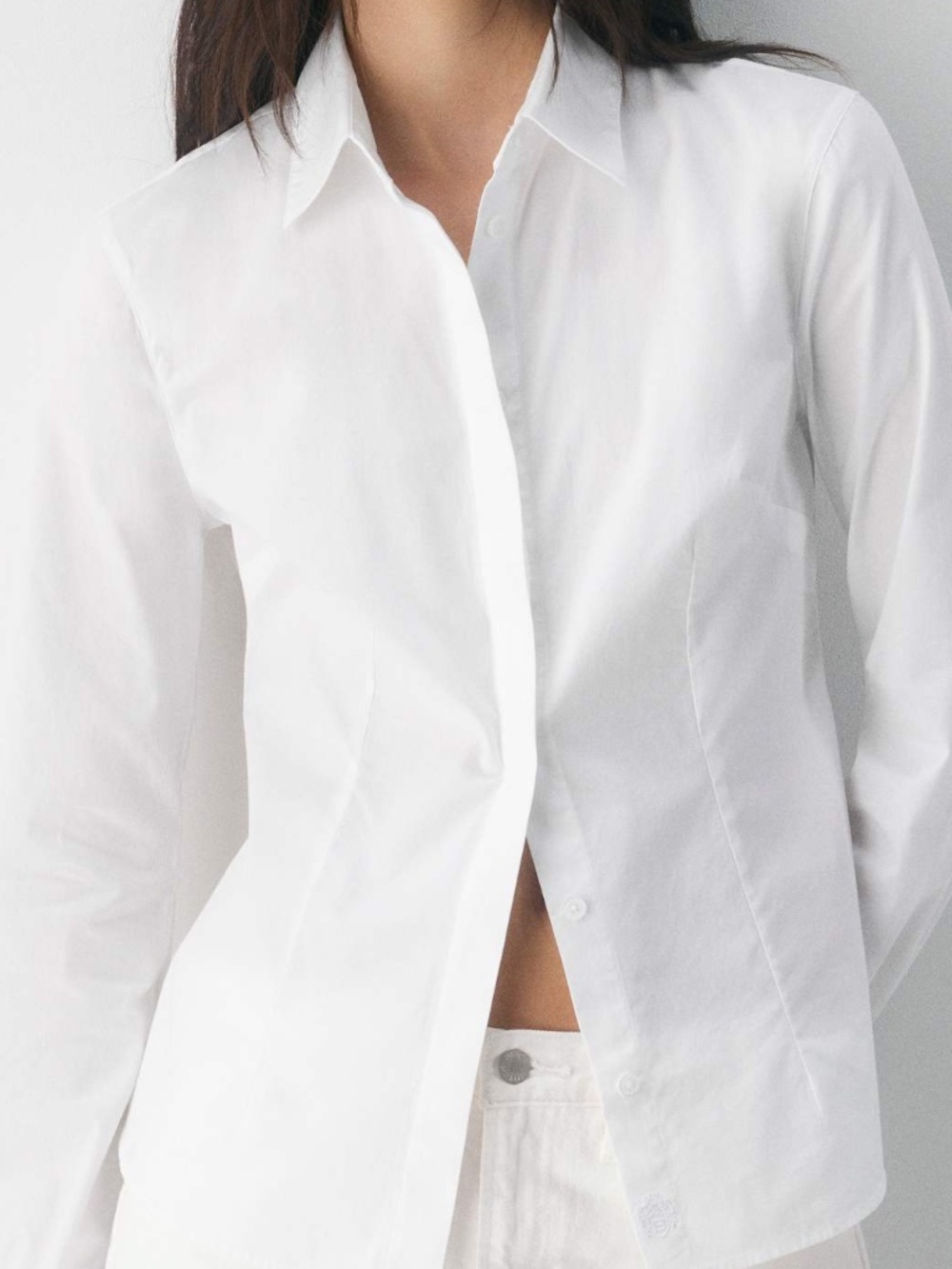 Aritzia Chronicle Slim Poplin Shirt